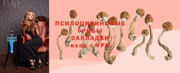 соль курить ск Карпинск
