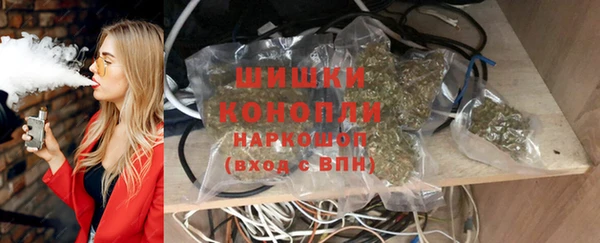гидра Киренск