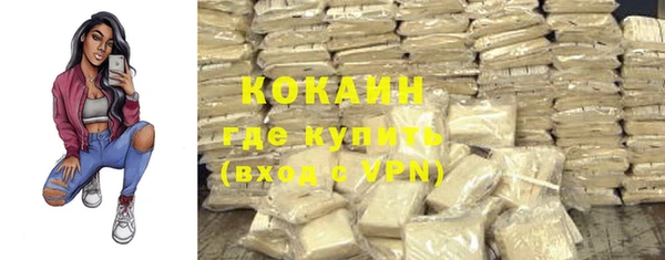 гидра Киренск