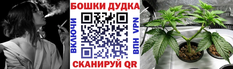 Бошки марихуана индика  Купить закладки  Верея 